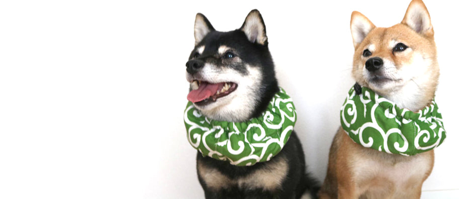 犬猫グッズの下町ペット用品店 – 犬猫グッズの下町ペット用品店 shopify