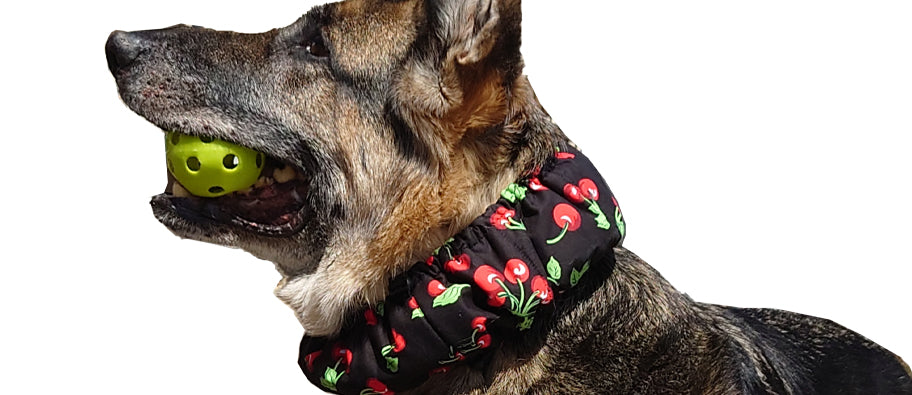 犬猫グッズの下町ペット用品店 – 犬猫グッズの下町ペット用品店 shopify