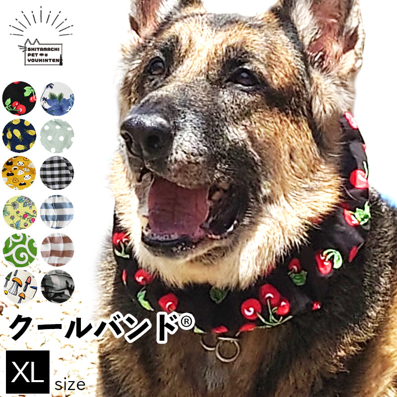 愛犬用 クールバンド XLサイズ 保冷剤8個付き クールバンダナ クールネック ネッククーラー ペット用 暑さ対策 犬用 猫用 熱中症対策 首ひんやり 冷感 冷却 首冷やす つめたい スヌード スカーフ 小型犬 中型犬 大型犬 かわいい お散歩